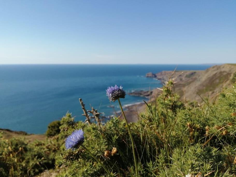Kiberick Cottage At Crackington Haven, Near Bude And Boscastle, Cornwall Buitenkant foto